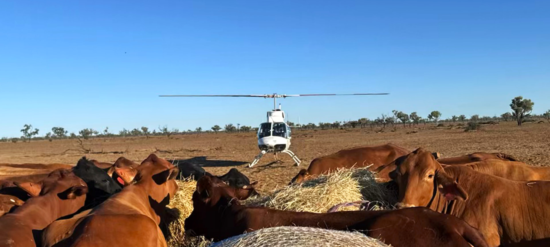 Helicopter supporting remote-area resupply operations